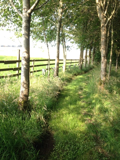 Walks around the field at Pittendreich