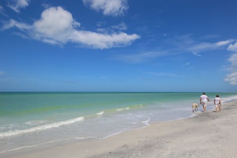 Beach nearby, sun loungers, beach towels