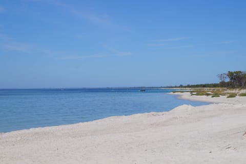 On the beach