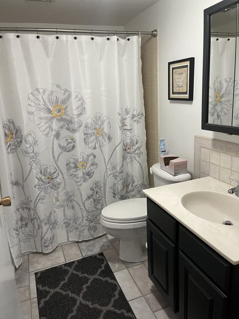 Combined shower/tub, hair dryer, towels, soap