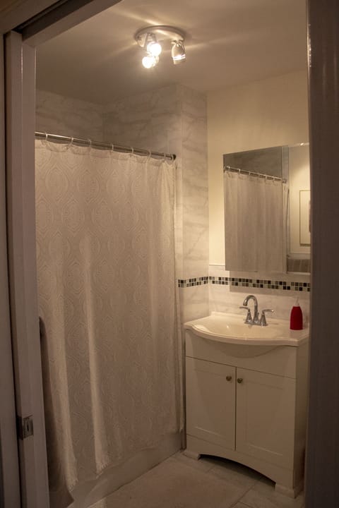 Combined shower/tub, hair dryer, towels, soap