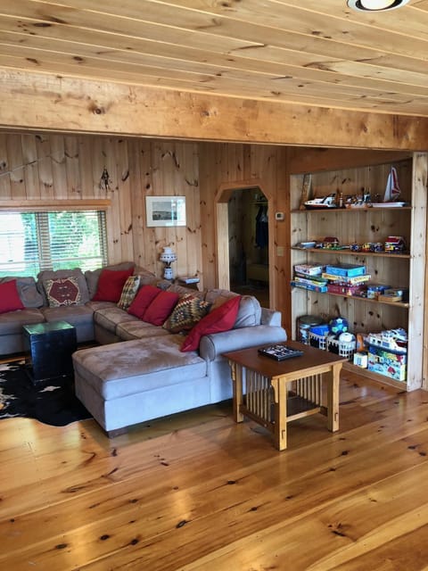 TV, fireplace, books