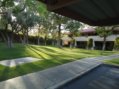 Lawn and trees, between building and carport.