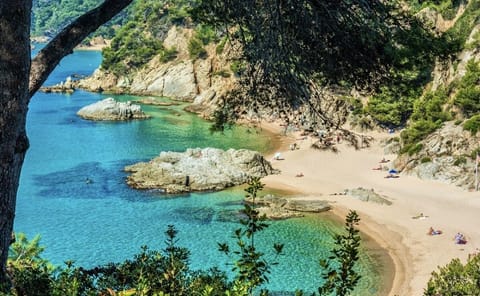 Beach nearby, beach towels