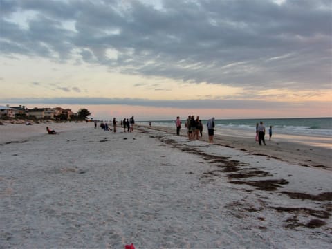 Beach nearby, sun loungers, beach towels