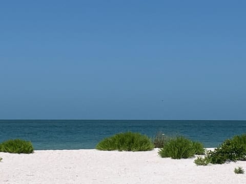 Beach nearby, sun loungers, beach umbrellas