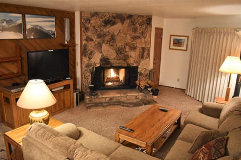 TV, fireplace, DVD player, video library