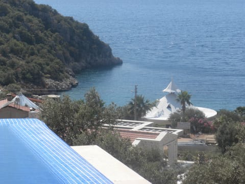 Outdoor pool, an infinity pool, sun loungers