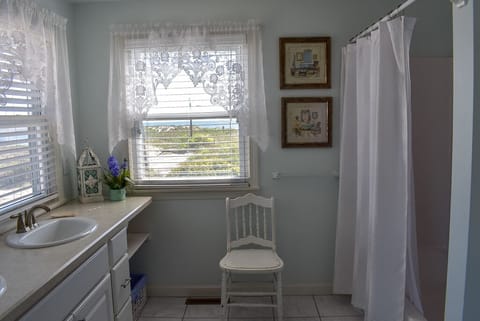 Combined shower/tub, hair dryer