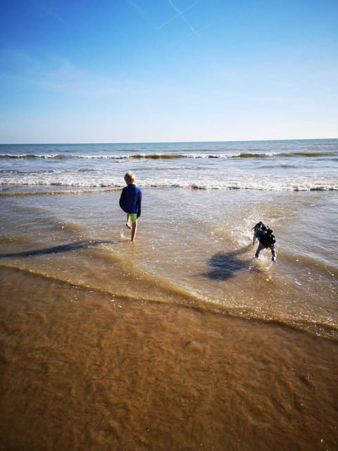 On the beach