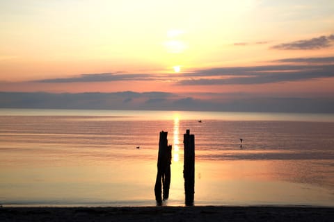 Beach nearby, sun loungers