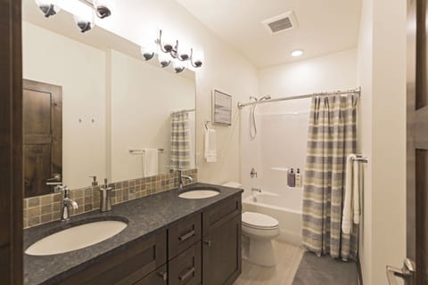 Combined shower/tub, hair dryer, towels