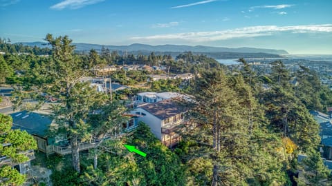 Pacific Ocean Blue Aerial