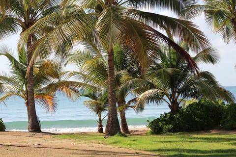 On the beach