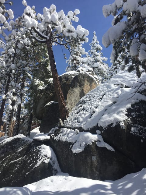 Snow and ski sports