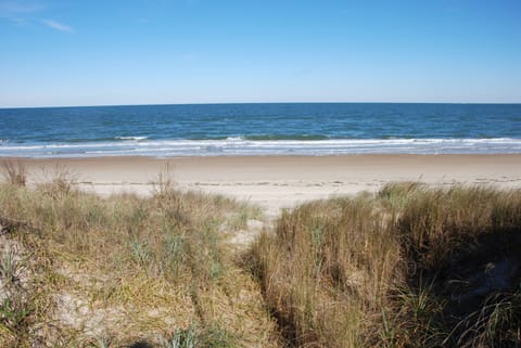 On the beach, sun loungers