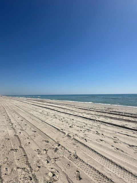 Sun loungers, beach towels