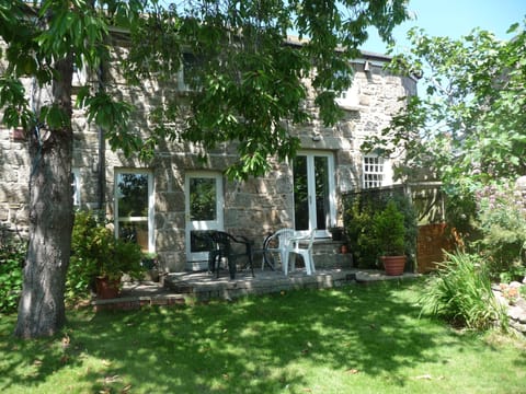 House from garden, summer