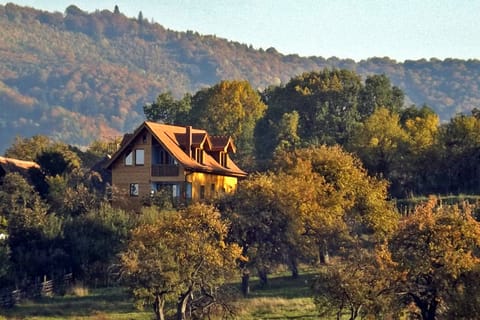 Villa Zollo - holiday rental Romania Transylvania • Photo: www.casa-vale.net