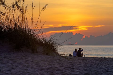 Beach nearby, sun loungers, beach towels