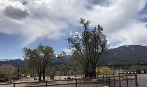 Backyard faces south for plentiful sun and nice views of surrounding mountains. 