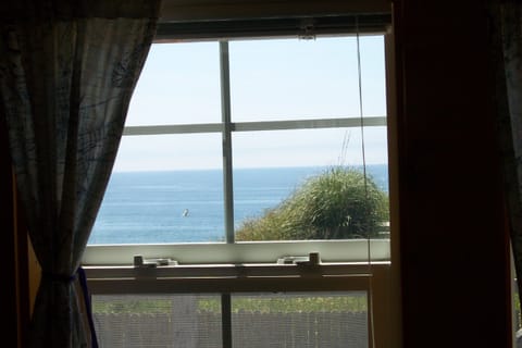 View from Living Room window