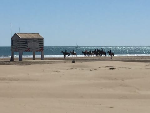 On the beach, sun loungers