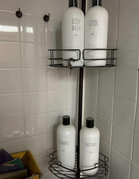 Combined shower/tub, hair dryer, towels, soap