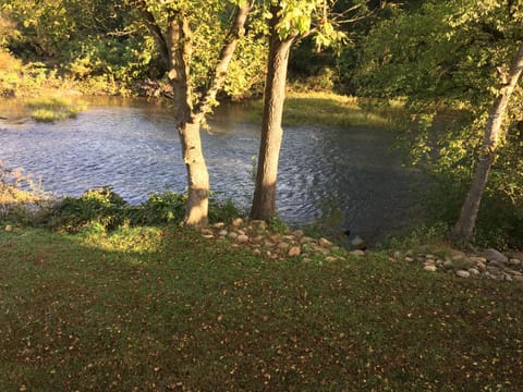 View of the Little Pigeon River from the back deck