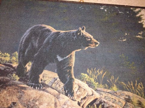 Black Bear