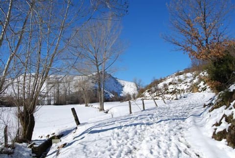 Snow and ski sports