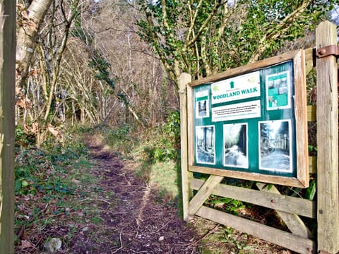 Wonderful woodland trail to explore | Holly - Woodland Retreat, Wadebridge