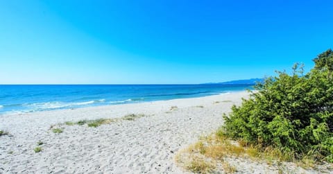 On the beach, sun loungers