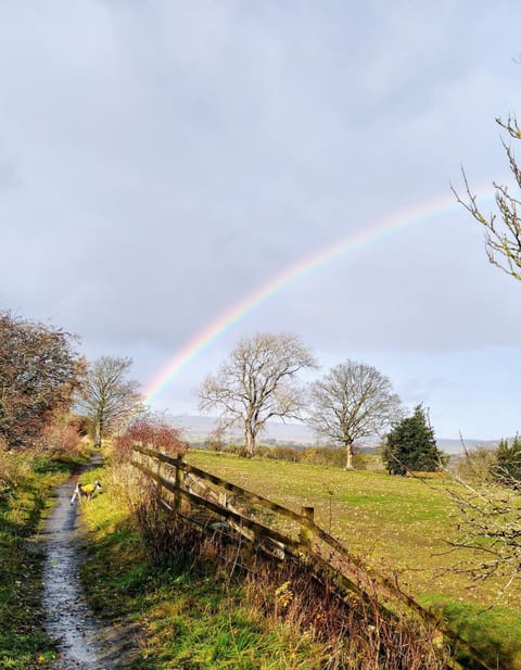 Romaldkirk railway path