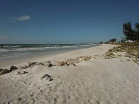 Beach nearby, sun loungers