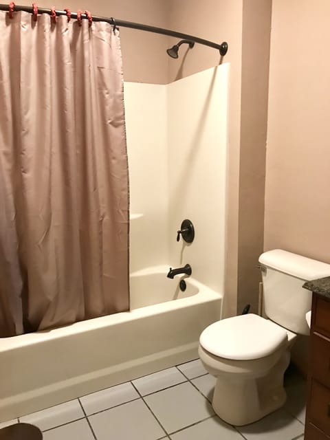 Combined shower/tub, hair dryer, towels, soap