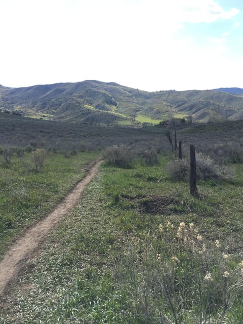 Open space in our neighborhood. Great for hiking and biking