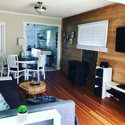 TV, fireplace, books, stereo