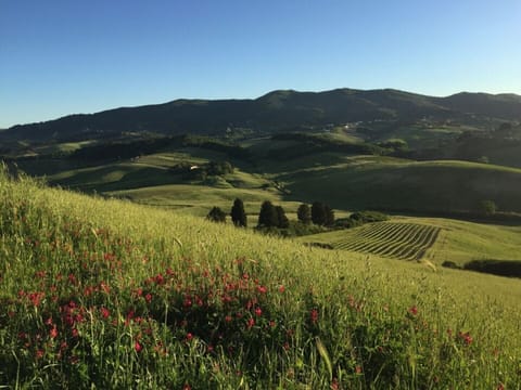 A view of the Tuscan countryside towards Parrana