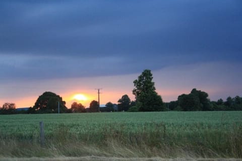 Sunset over the fields