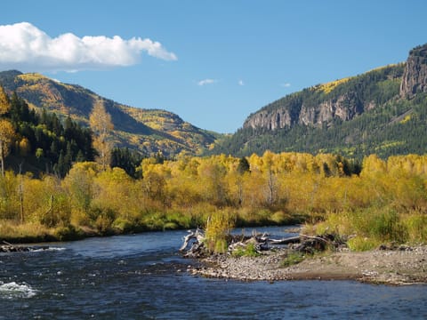 Walk to Trout Fishing