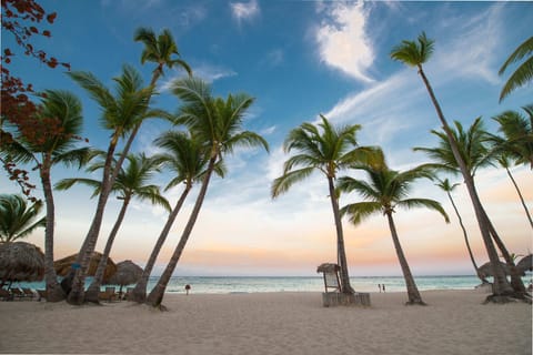 Beach nearby, sun loungers, beach towels