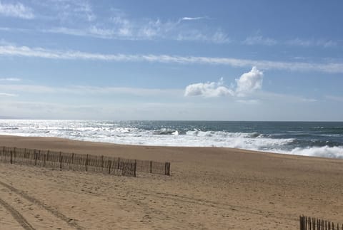 On the beach