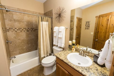 Combined shower/tub, hair dryer, bidet, towels