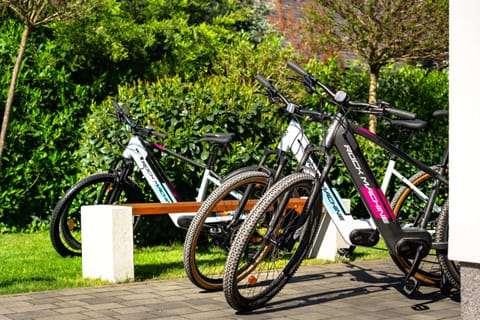 New e-bike for rent.