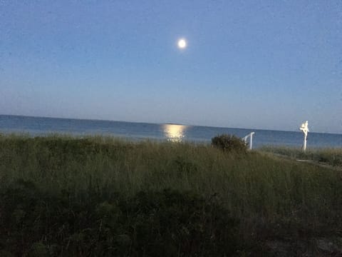 Beach nearby, sun loungers, beach towels