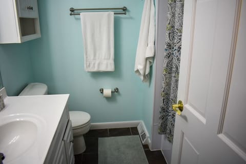 Combined shower/tub, hair dryer