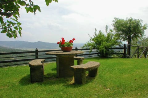 Garden [summer]