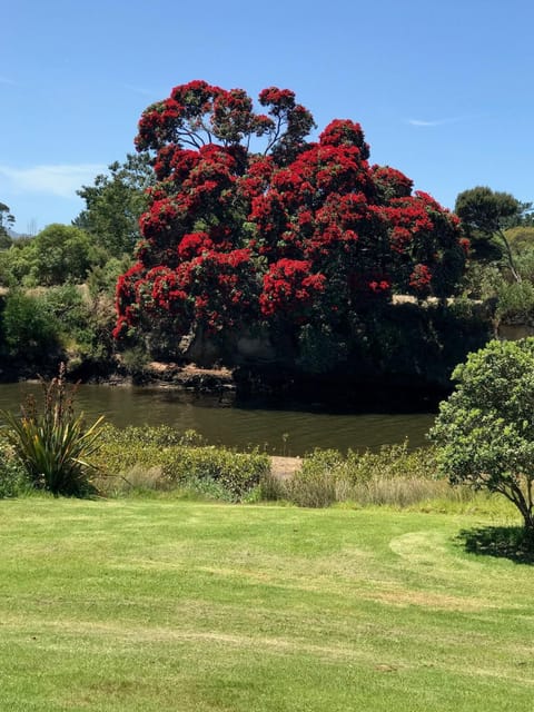 Xmas 2018... our river