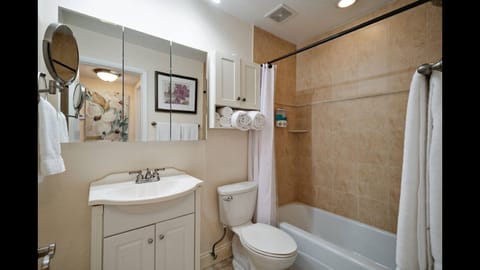 Combined shower/tub, hair dryer, towels, soap